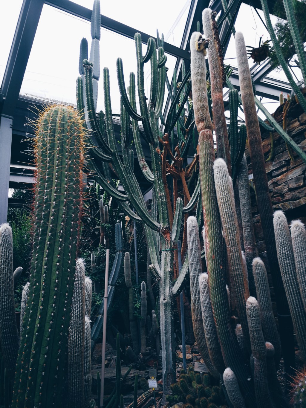 Unbenannter Beitrag 77