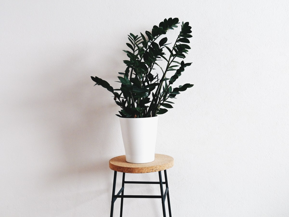 14 Tage Minimalismus&nbsp;Challenge