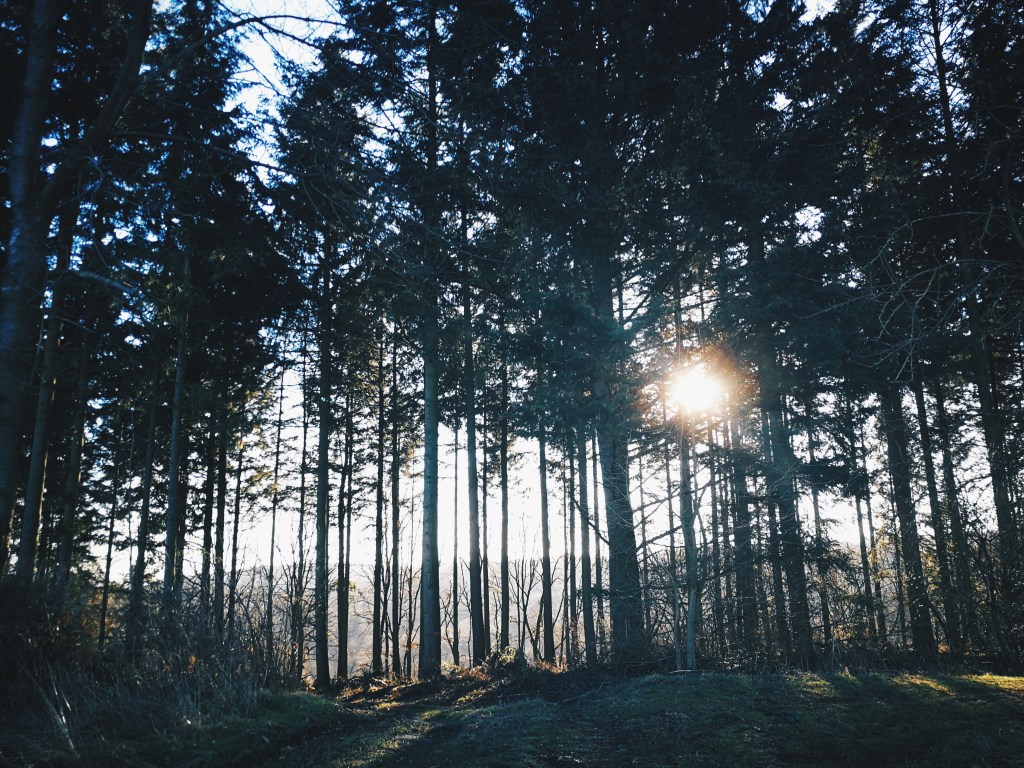 Entscheidungen aus Angst